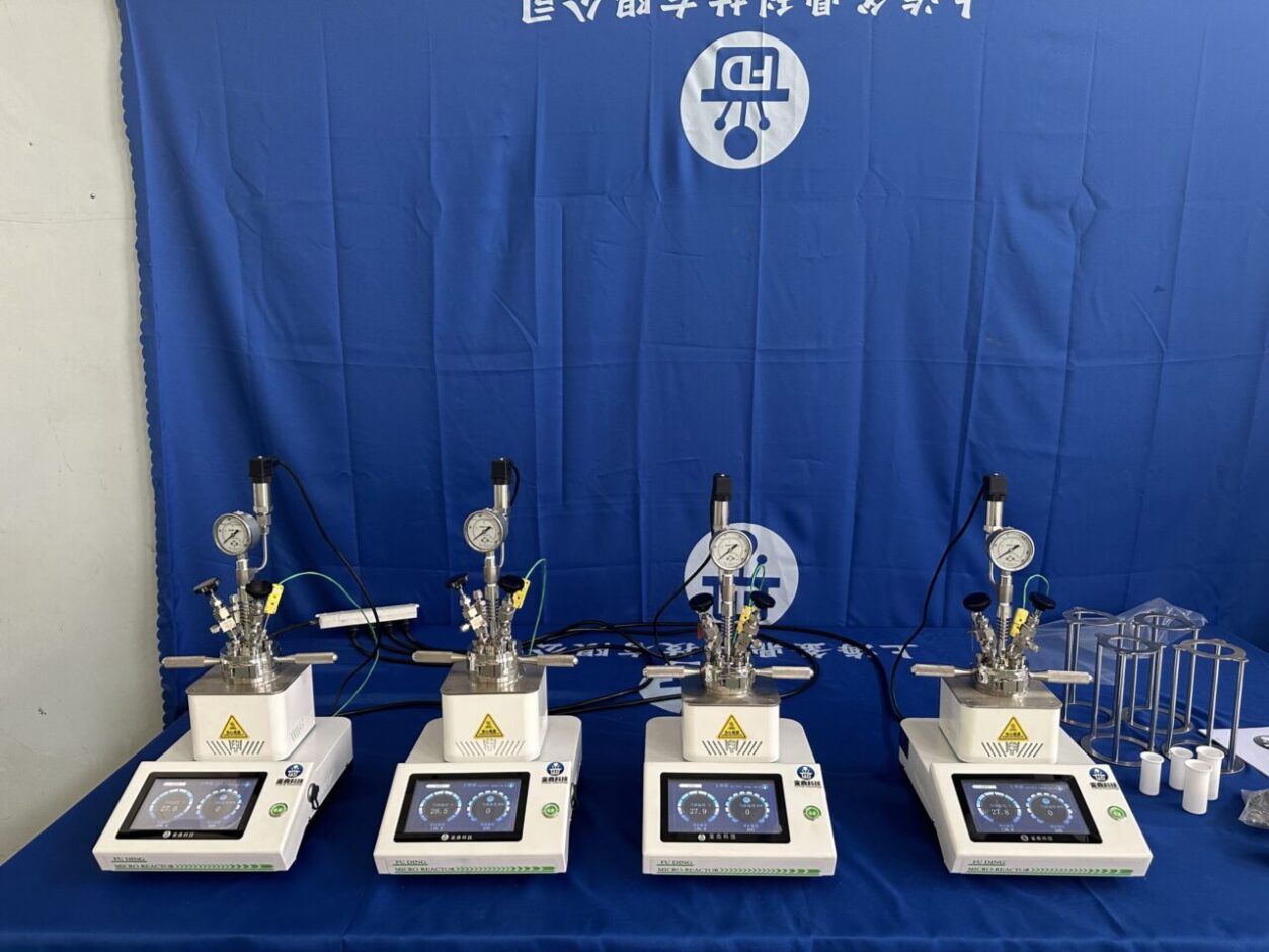 25ml、50ml磁子搅拌快开反应釜